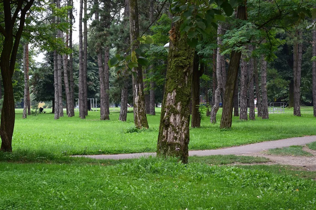 Park Mladen Stojanović